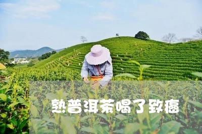 熟普洱茶喝了致癌/2023041062684