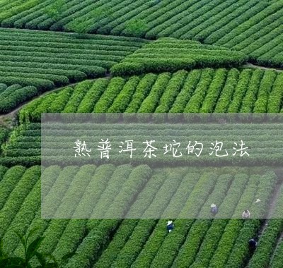 熟普洱茶坨的泡法/2023033117279