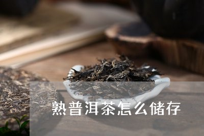 熟普洱茶怎么储存/2023041370792