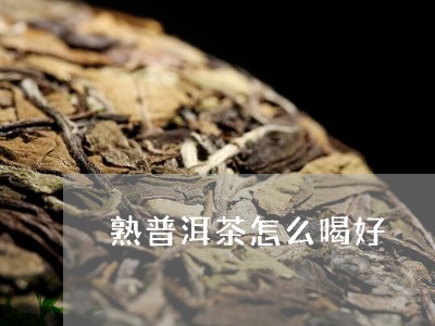 熟普洱茶怎么喝好/2023041345469