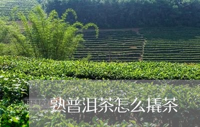 熟普洱茶怎么撬茶/2023031504251