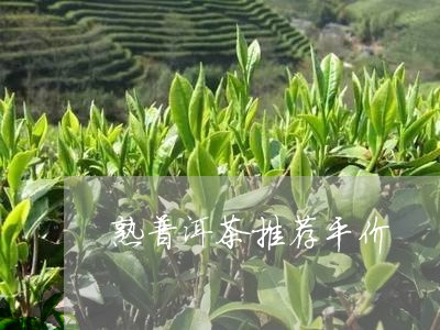 熟普洱茶推荐平价/2023041410605