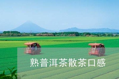 熟普洱茶散茶口感/2023041223926