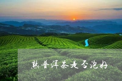 熟普洱茶是否泡好/2023041216380