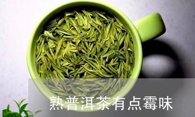 熟普洱茶有点霉味/2023041068293