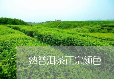 熟普洱茶正宗颜色/2023040927471