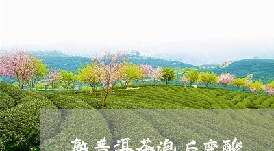 熟普洱茶泡后变酸/2023040106239