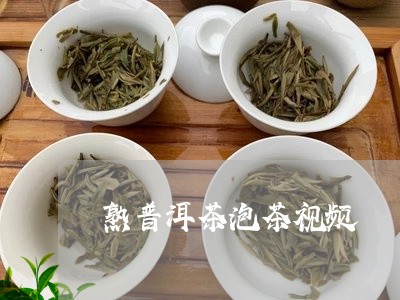 熟普洱茶泡茶视频/2023041095258