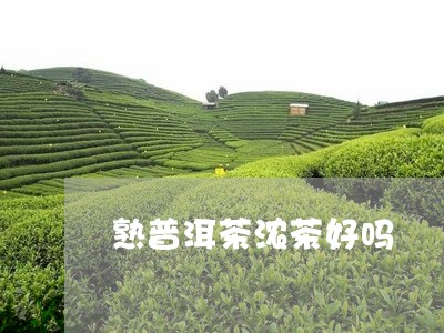 熟普洱茶浓茶好吗/2023041068394