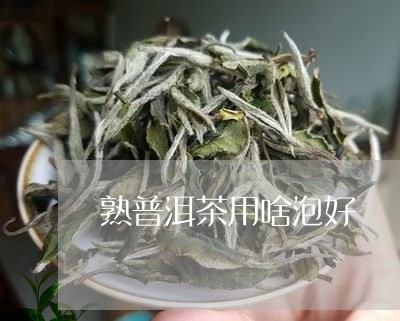 熟普洱茶用啥泡好/2023033017272