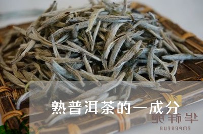 熟普洱茶的一成分/2023033005048