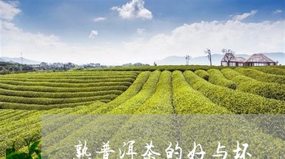 熟普洱茶的好与坏/2023033033805