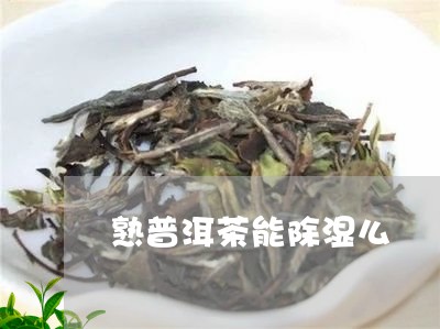 熟普洱茶能除湿么/2023040136459