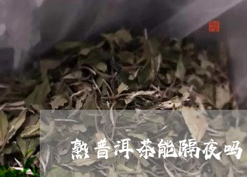 熟普洱茶能隔夜吗/2023040143617