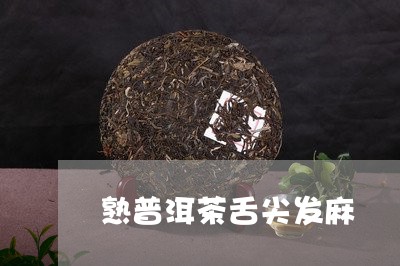 熟普洱茶舌尖发麻/2023041297248