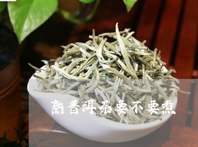 熟普洱茶要不要煮/2023033160795