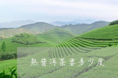 熟普洱茶要多少度/2023041158614