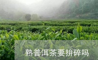 熟普洱茶要拚碎吗/2023033166846