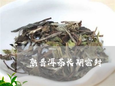 熟普洱茶长期密封/2023040985047