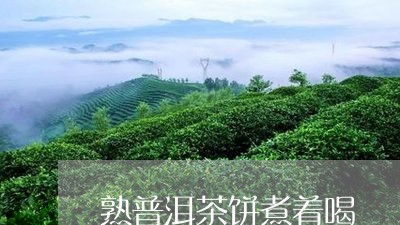 熟普洱茶饼煮着喝/2023041158369