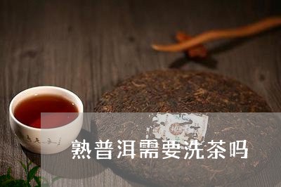 熟普洱需要洗茶吗/2023031859491