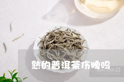 熟的普洱茶伤脾吗/2023040143938