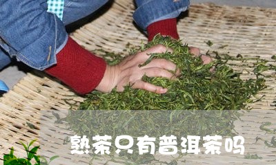 熟茶只有普洱茶吗/2023041178582