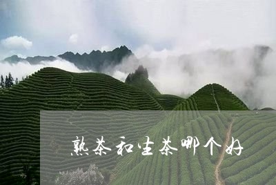 熟茶和生茶哪个好/2023041348262