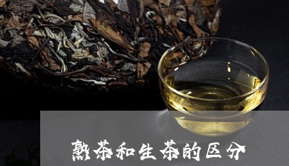 熟茶和生茶的区分/2023041349502