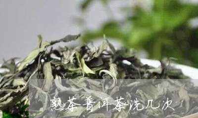 熟茶普洱茶洗几次/2023041125137