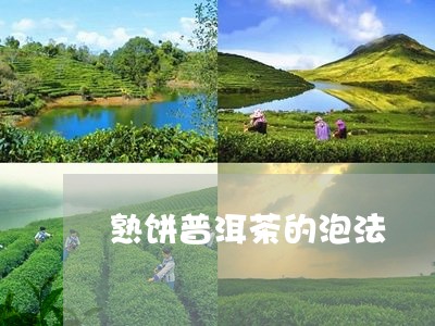 熟饼普洱茶的泡法/2023033150526