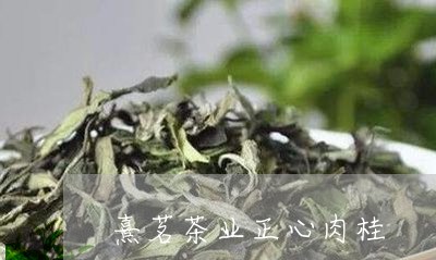 熹茗茶业正心肉桂/2023041375248