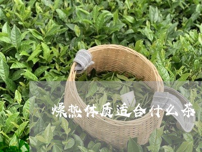 燥热体质适合什么茶/2023041529513