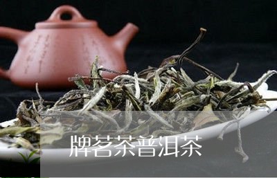 牌茗茶普洱茶/2023031629281