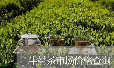 牛蒡茶市场价格查询/2023041616147