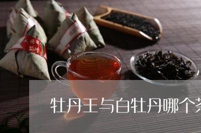 牡丹王与白牡丹哪个茶耐泡/2023041262704