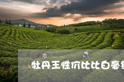 牡丹王性价比比白毫银针高/2023040913014