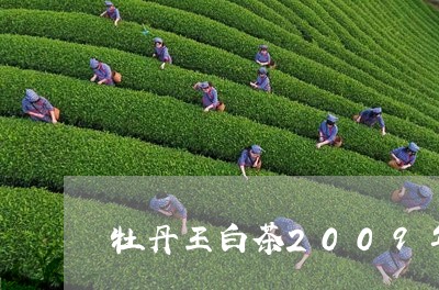 牡丹王白茶2009年价格/2023033162616