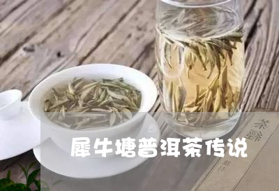 犀牛塘普洱茶传说/2023031701617