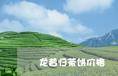 犇龙昔归茶饼价格/2023032615925