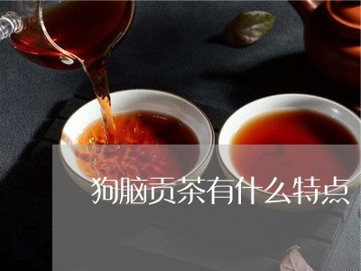 狗脑贡茶有什么特点/2023041556272