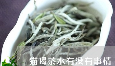 猫喝茶水有没有事情/2023041667158