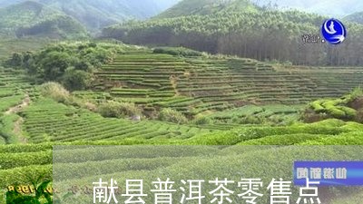 献县普洱茶零售点/2023031648683