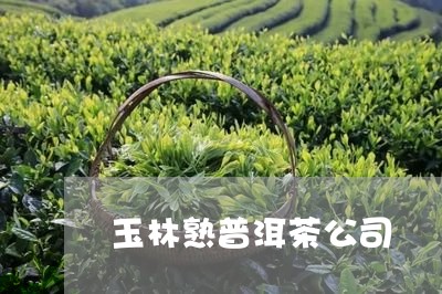 玉林熟普洱茶公司/2023041056361