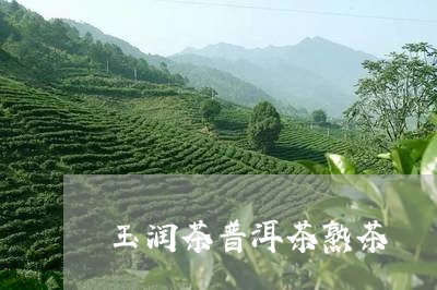 玉润茶普洱茶熟茶/2023041104047