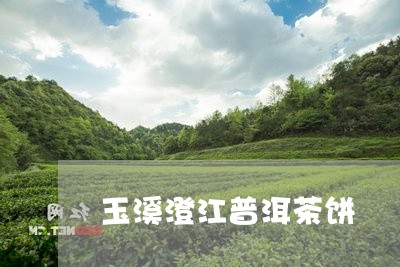 玉溪澄江普洱茶饼/2023031845593