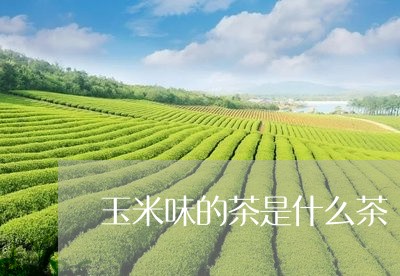 玉米味的茶是什么茶/2023041565957