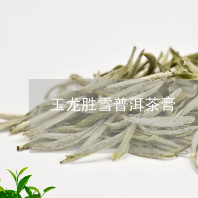 玉龙胜雪普洱茶膏/2023041219503