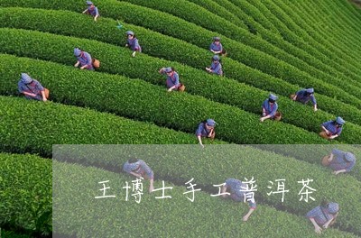 王博士手工普洱茶/2023041088373