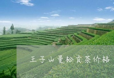 王子山曼松贡茶价格/2023031891967